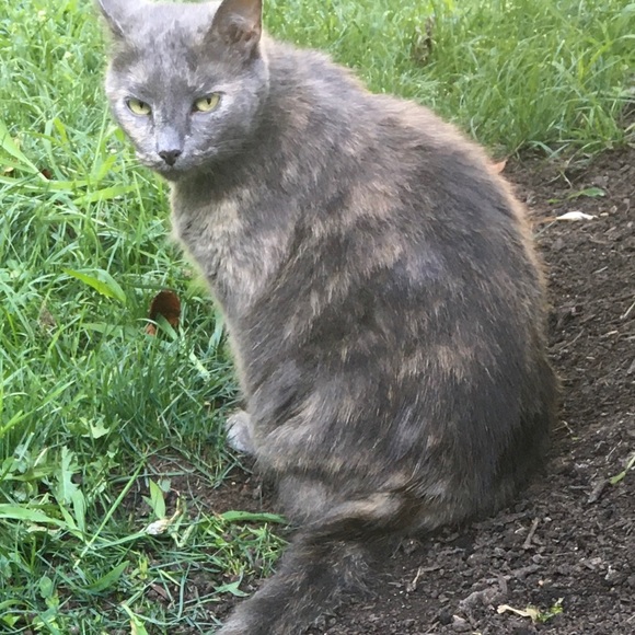 Meet your Poshers, Jeff & Nicole.🙂 - Picture 4 of 4